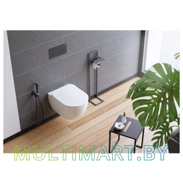 Унитаз Deante Peonia CDED6ZPW картинка 4
